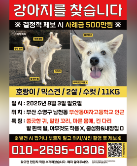 인쇄용 (사례금 포함) 미리보기