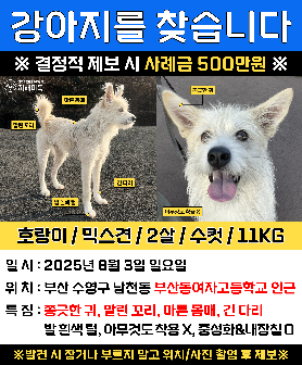 당근 게시용 미리보기